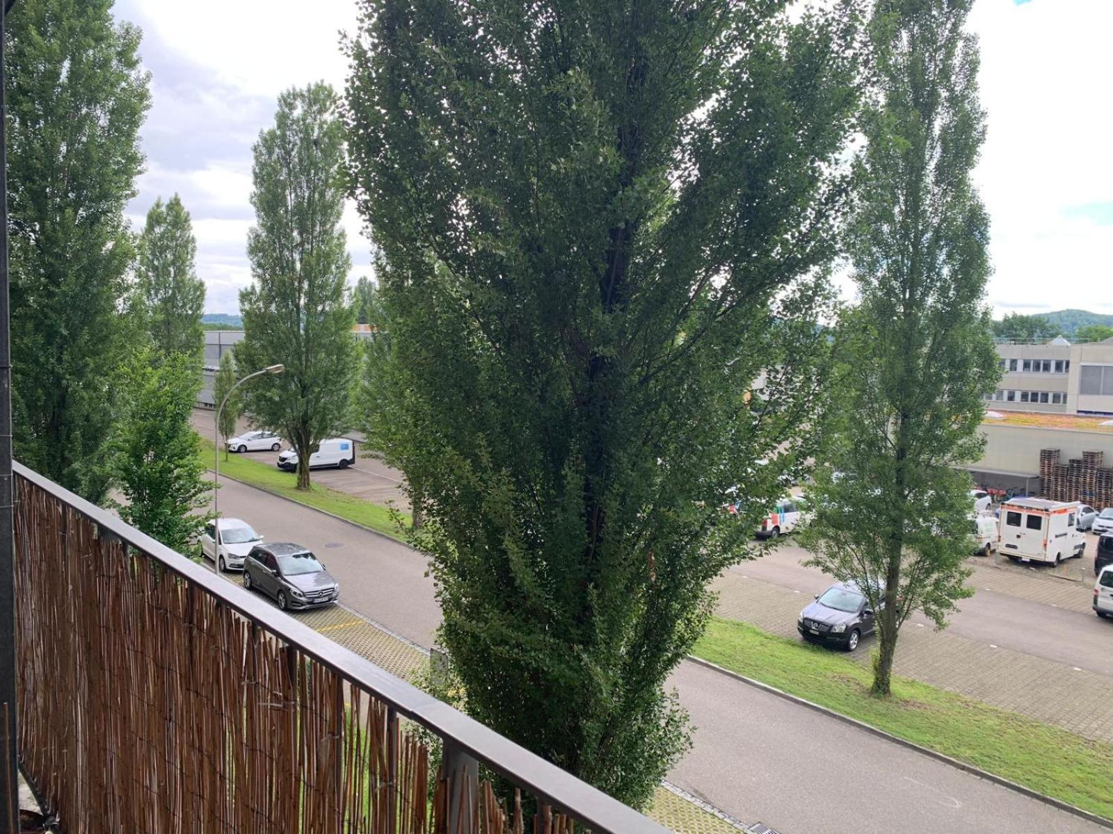 Rheinfelden Homestay Zewnętrze zdjęcie